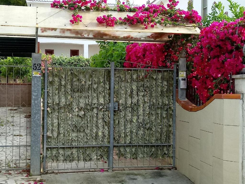 Casa Vacanze Mare Gargano Rodi Garganico Esterno foto